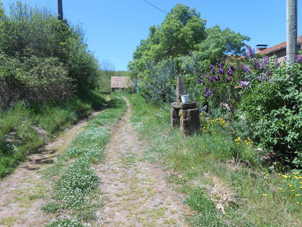 Gite Des Monts Saint-Izaire Exterior foto