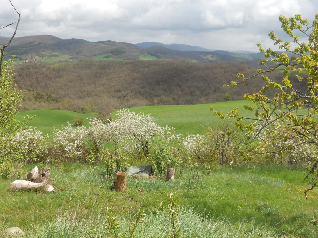 Gite Des Monts Saint-Izaire Exterior foto